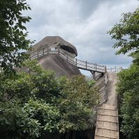 評論圖片 8