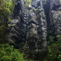 評論圖片 9
