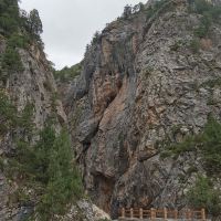 評論圖片 2