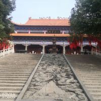 評論圖片 2