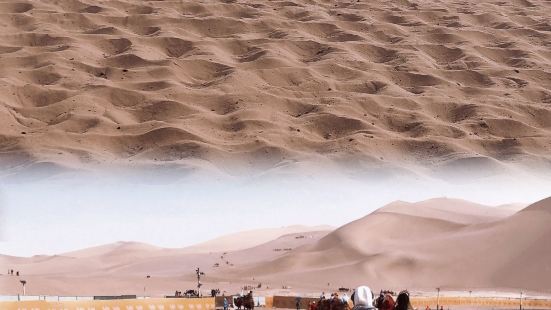 沙漠中行走的骆驼，并非满眼都是沙子，而是心中有块绿洲。是坚持