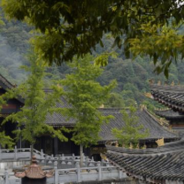 評論圖片 5