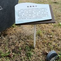 評論圖片 1