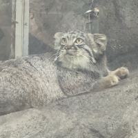 評論圖片 6