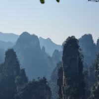 評論圖片 2