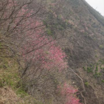 評論圖片 1