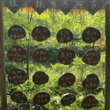 評論圖片 5