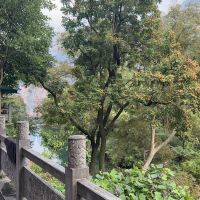 評論圖片 3