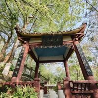 評論圖片 7