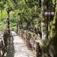評論圖片 1