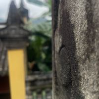 評論圖片 3