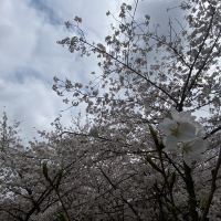 評論圖片 1