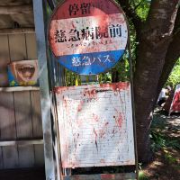 評論圖片 7