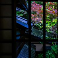 評論圖片 2