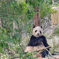 評論圖片 4
