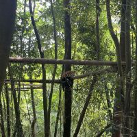 評論圖片 9
