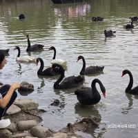 評論圖片 8