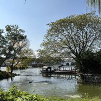 評論圖片 3