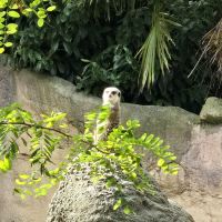 評論圖片 1