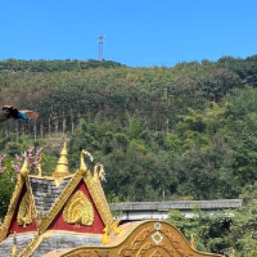 評論圖片 9