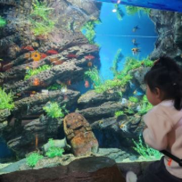 評論圖片 4