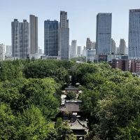 評論圖片 4
