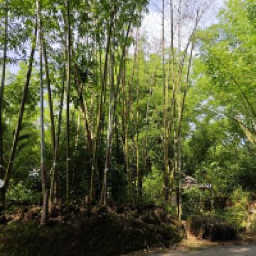 評論圖片 6