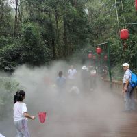 評論圖片 7