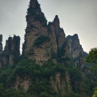 評論圖片 4