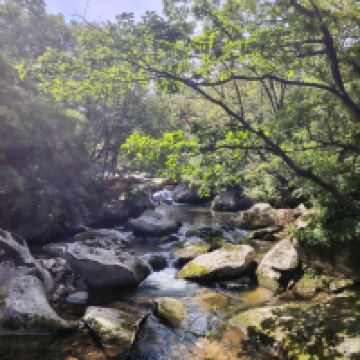評論圖片 4