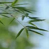 評論圖片 9