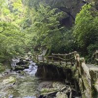 評論圖片 5