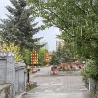 評論圖片 9