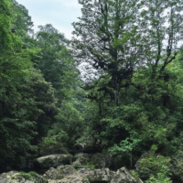 評論圖片 3