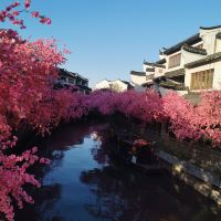評論圖片 3