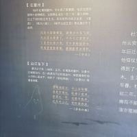 評論圖片 2