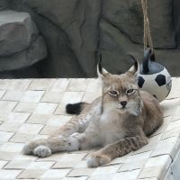 評論圖片 4