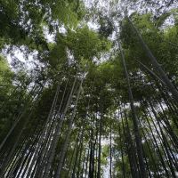 評論圖片 4