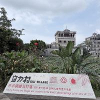 評論圖片 1