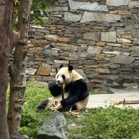 評論圖片 4