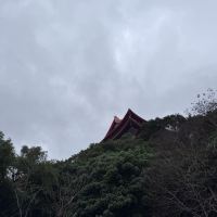 評論圖片 4