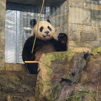 評論圖片 8