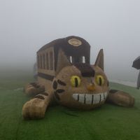 評論圖片 3