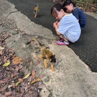 評論圖片 3