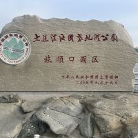 評論圖片 3
