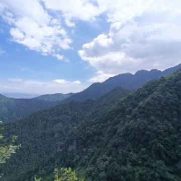 評論圖片 1