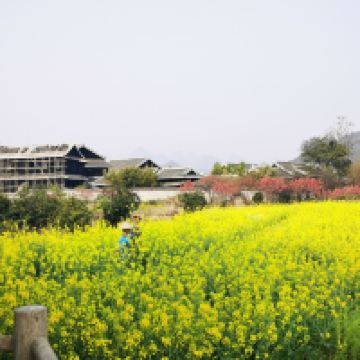 評論圖片 7