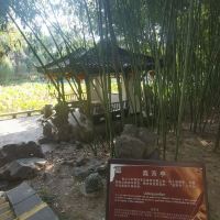 評論圖片 2