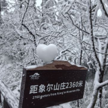 評論圖片 4