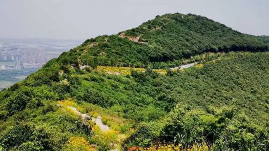 江苏大阳山国家森林公园适合亲子出行。常年雨量充沛，林木葱翠，